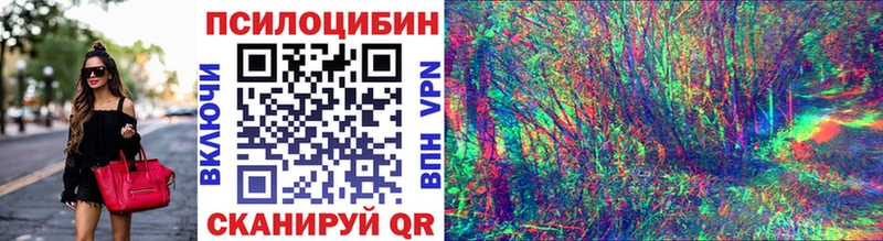 Купить где  Сорочинск  Галлюциногенные грибы мицелий 